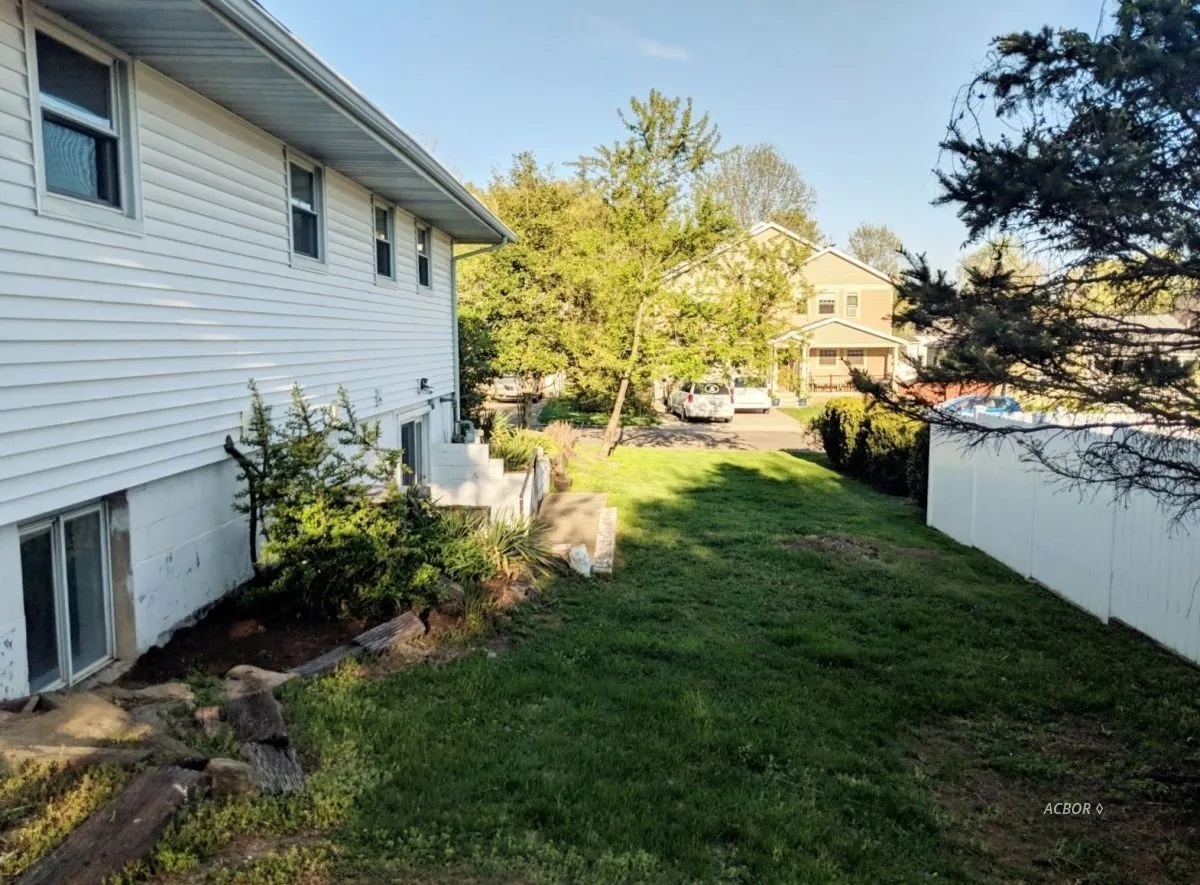 Back yard